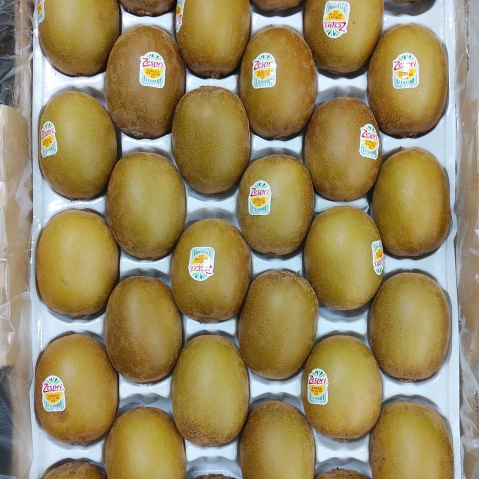 サンゴールドキウイの画像