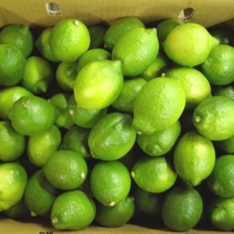 広島県産　レモンの画像