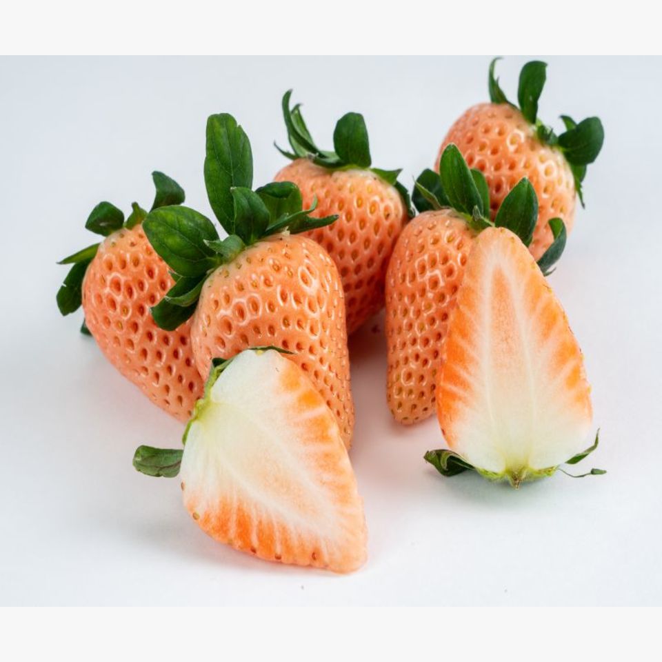 奈良の苺 旬の果物 旬の野菜 果物 野菜と果物を広島の市場より食卓へ 広印広島青果株式会社