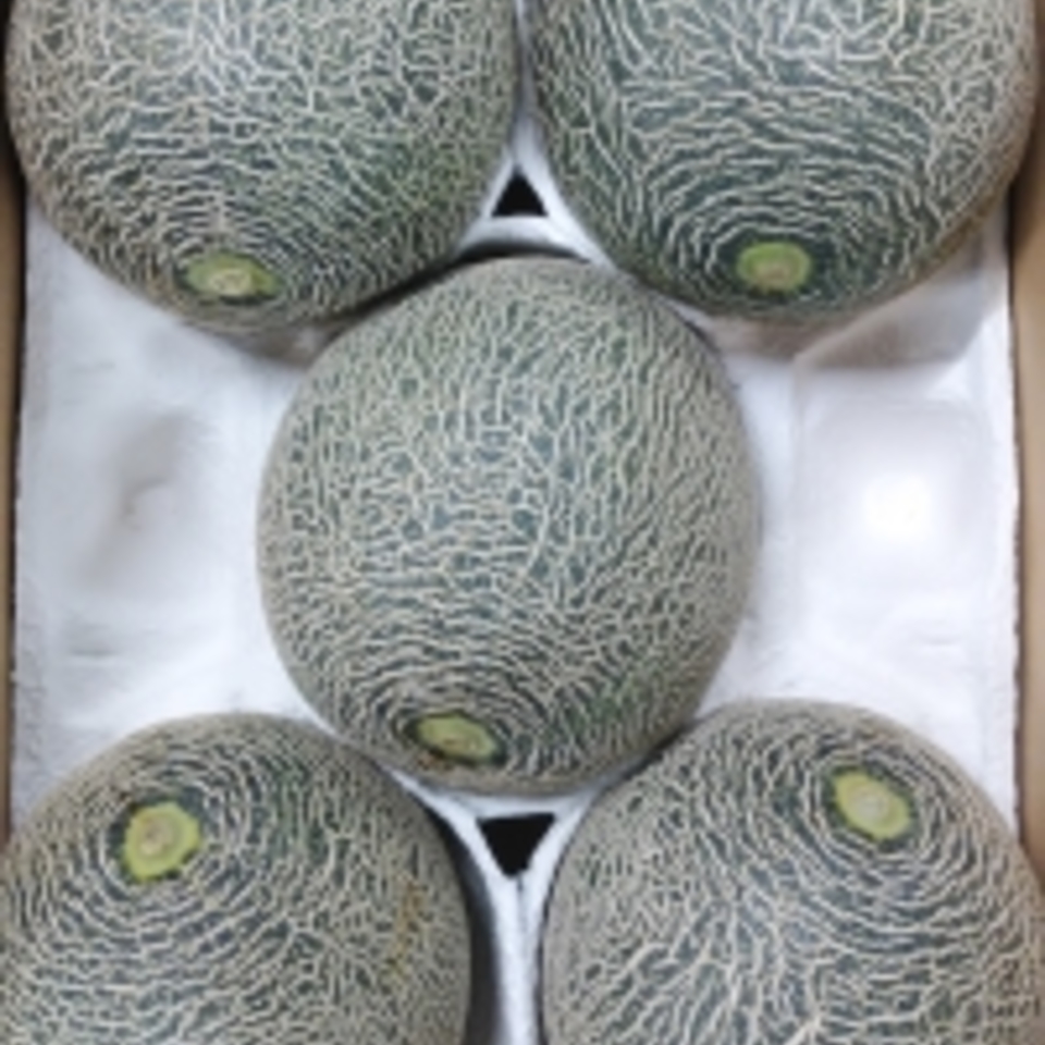 熊本県産　肥後グリーンの画像