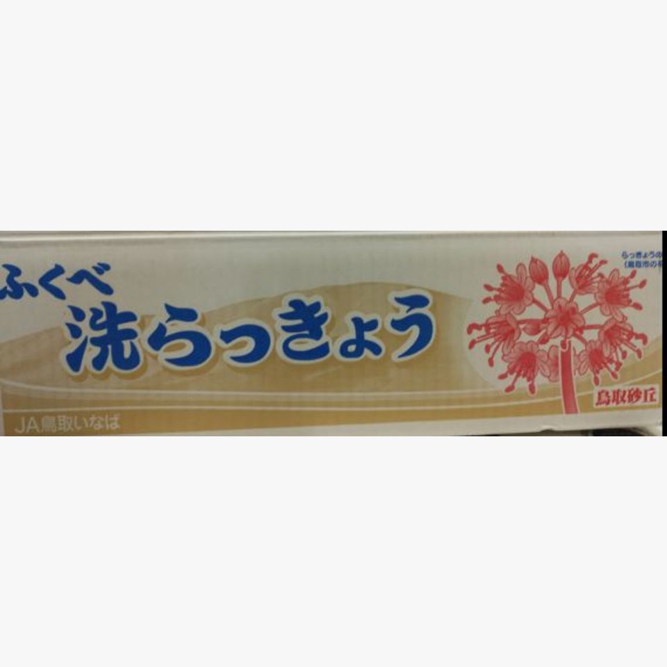 鳥取県産 らっきょう | 旬の野菜 | 旬の野菜・果物 | 野菜と果物を広島