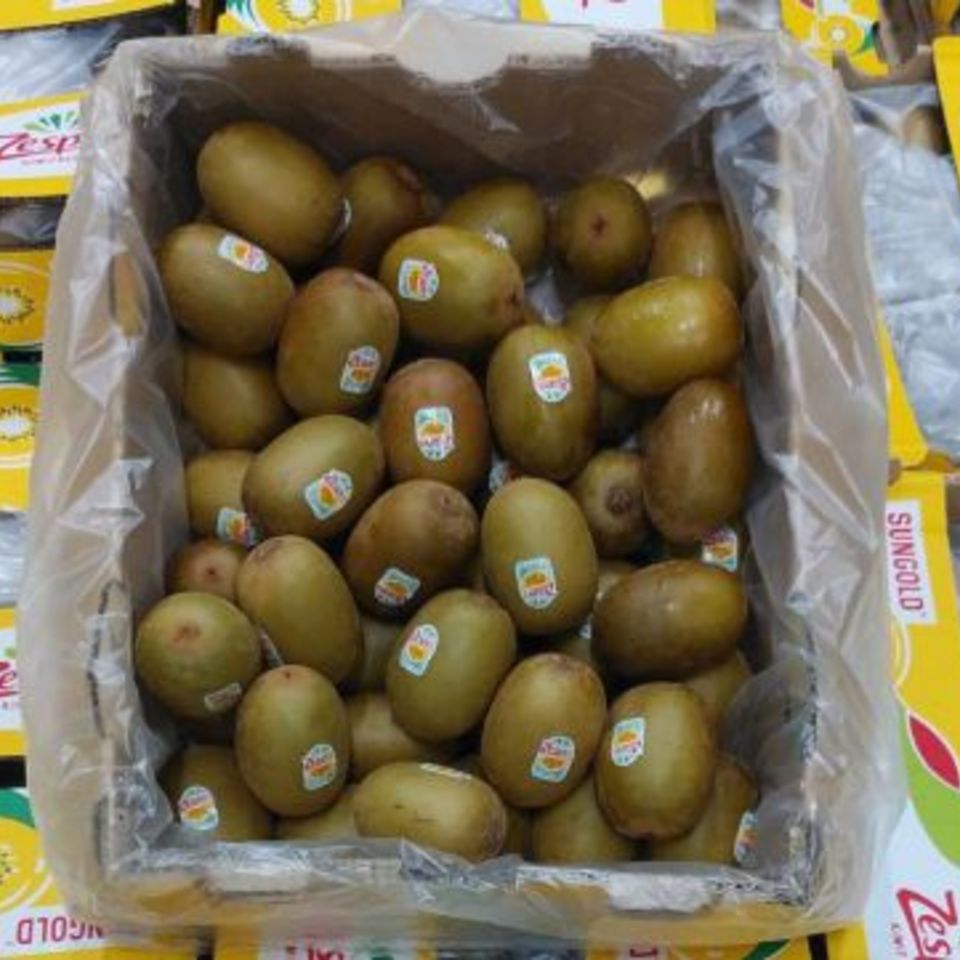 ニュージーランド産ゴールドキウイの画像