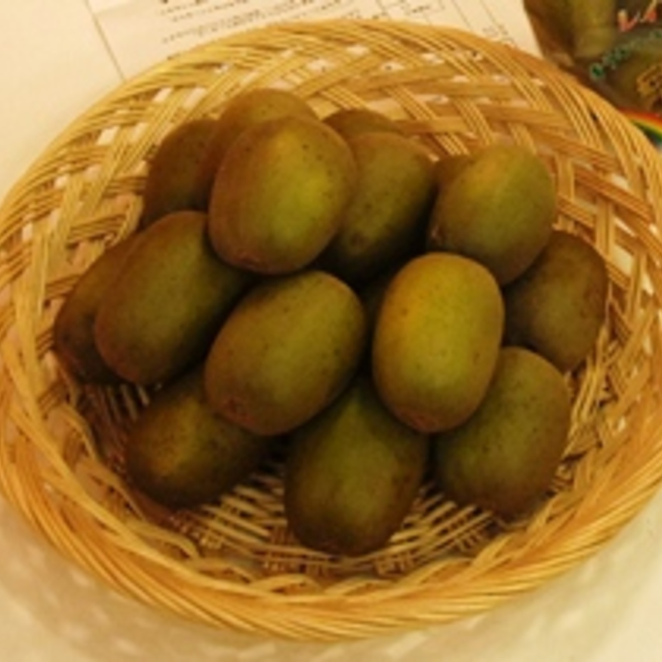 レインボーレッドの画像