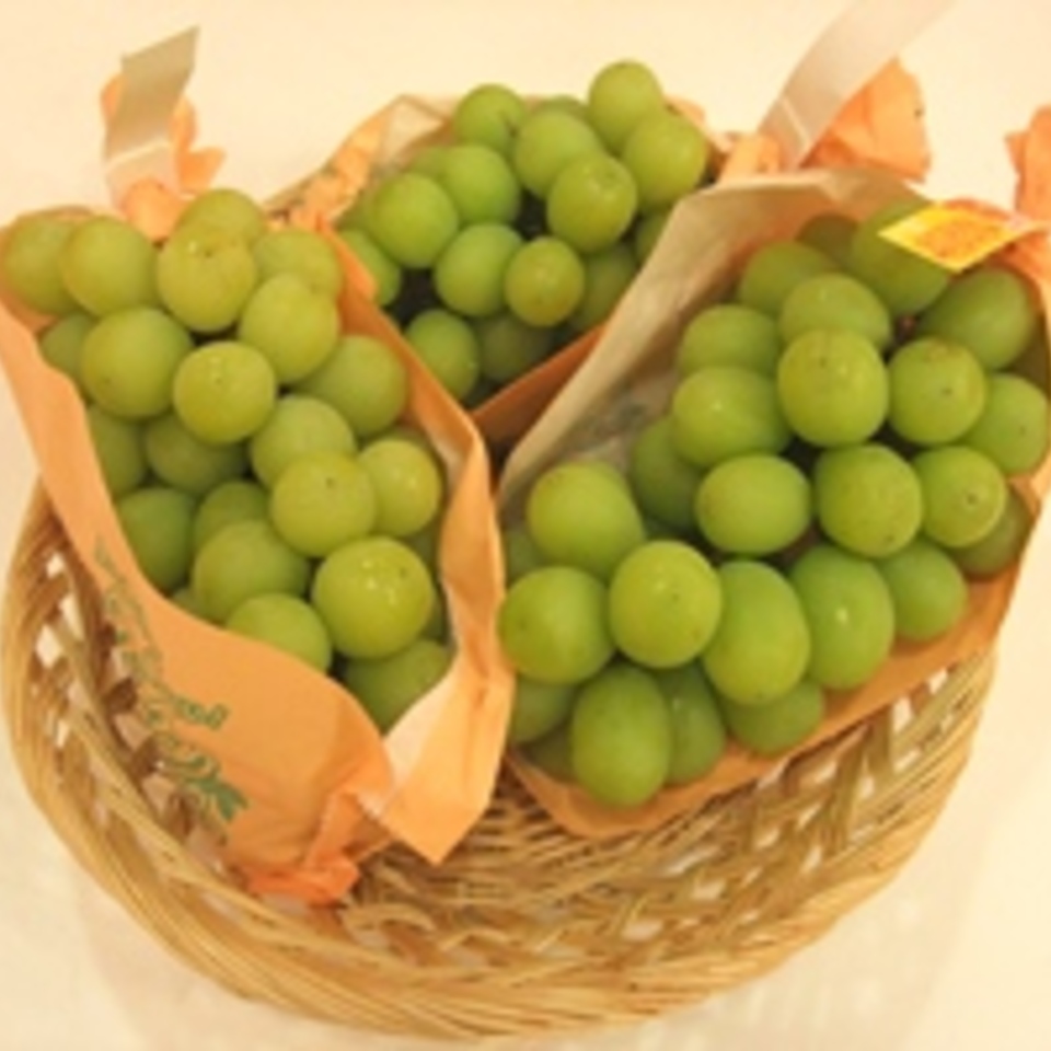 シャインマスカットの画像