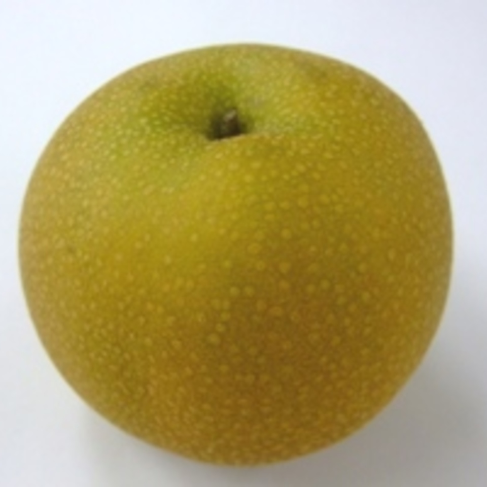 旬の果物 旬の野菜 果物 野菜と果物を広島の市場より食卓へ 広印広島青果株式会社