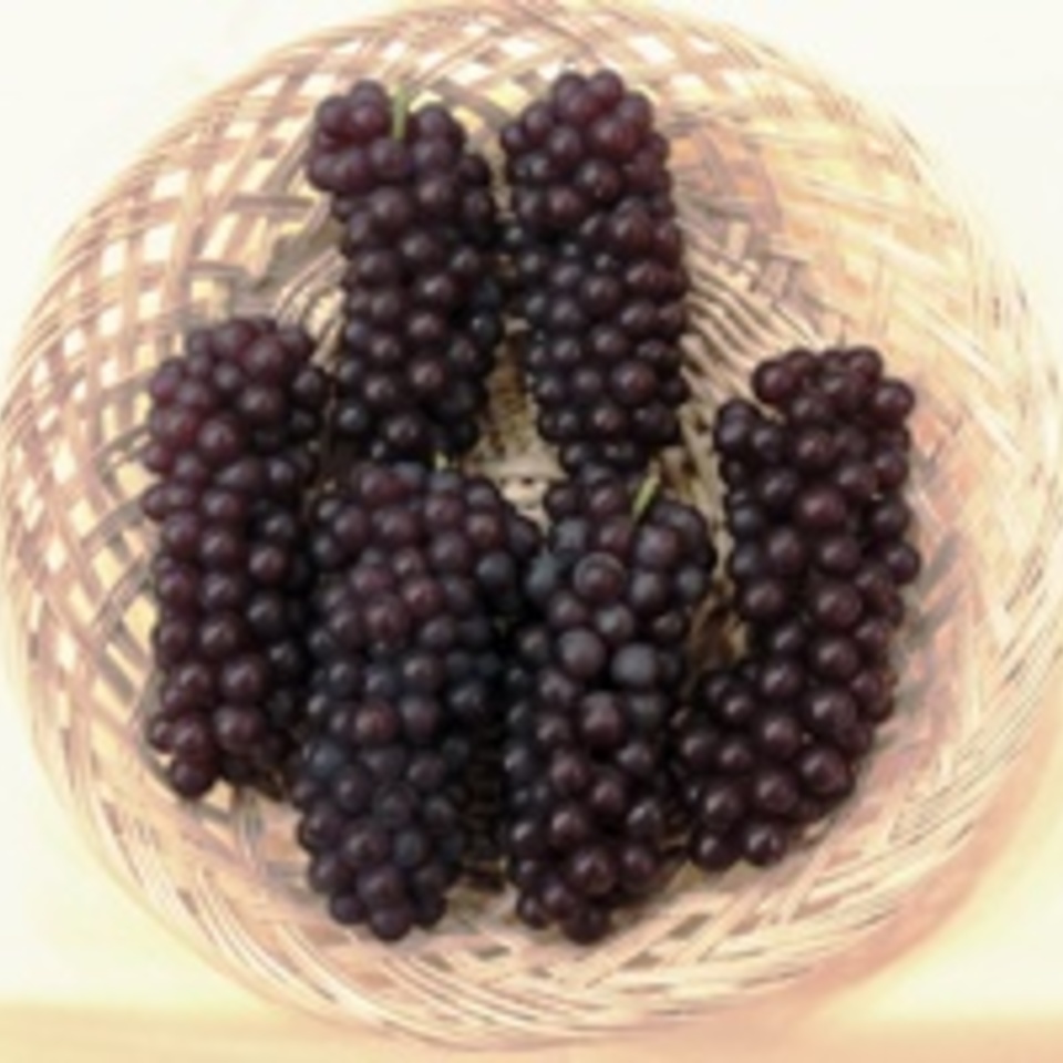 デラウェアの画像