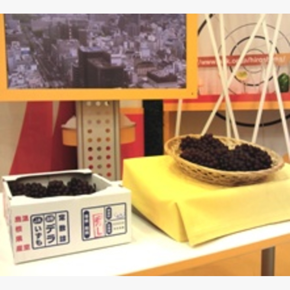 ひとことの画像