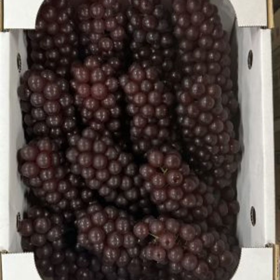 島根県産デラウェアの画像