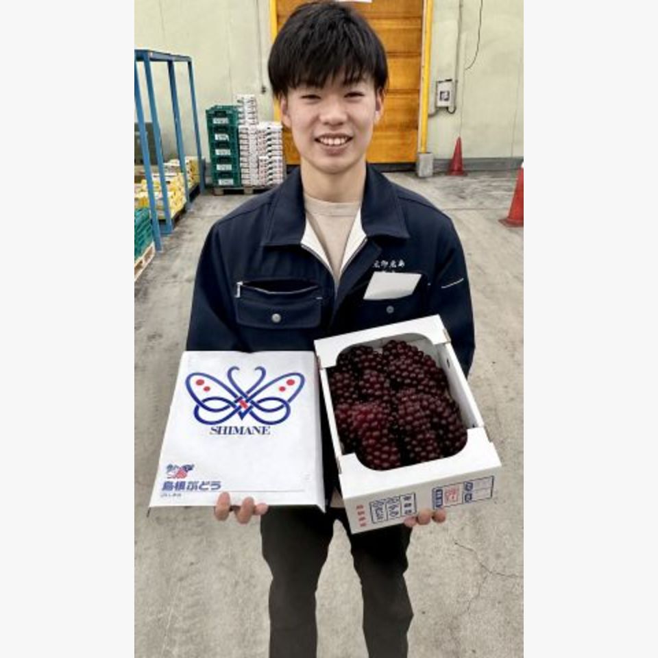 ひとことの画像