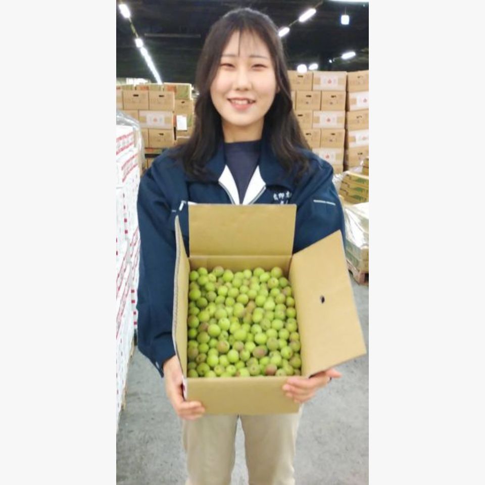 ひとことの画像