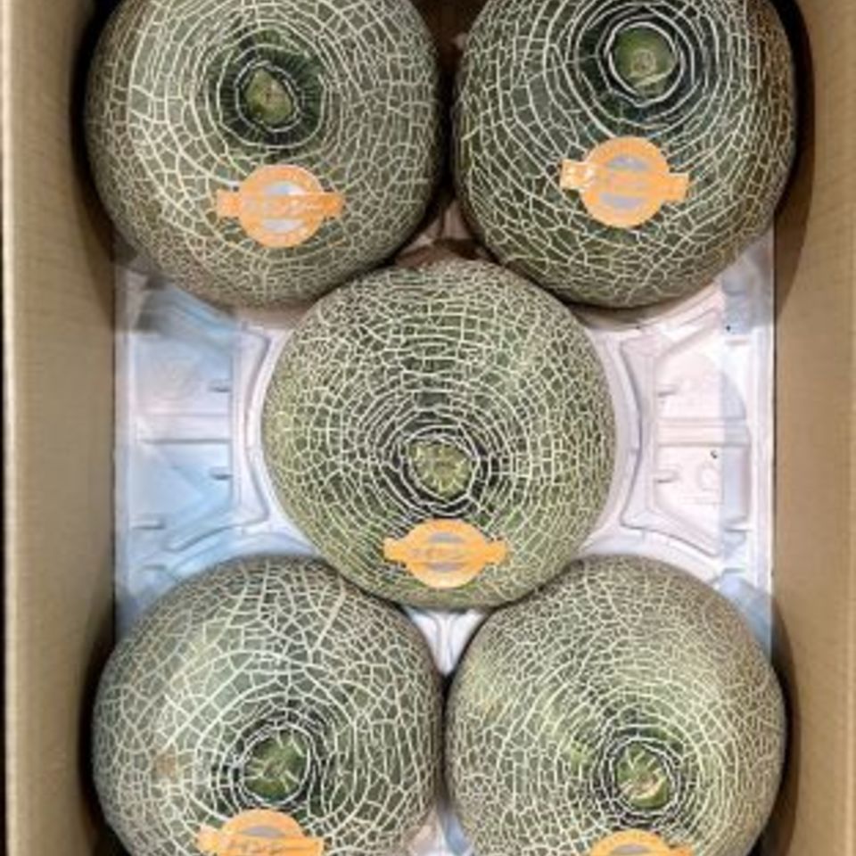 熊本県産メロンの画像