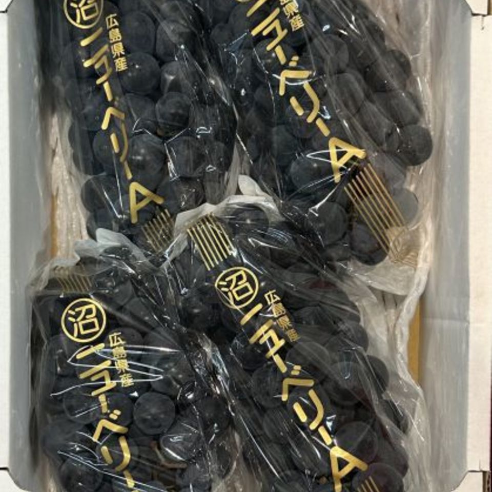 広島県産ニューベリーAの画像