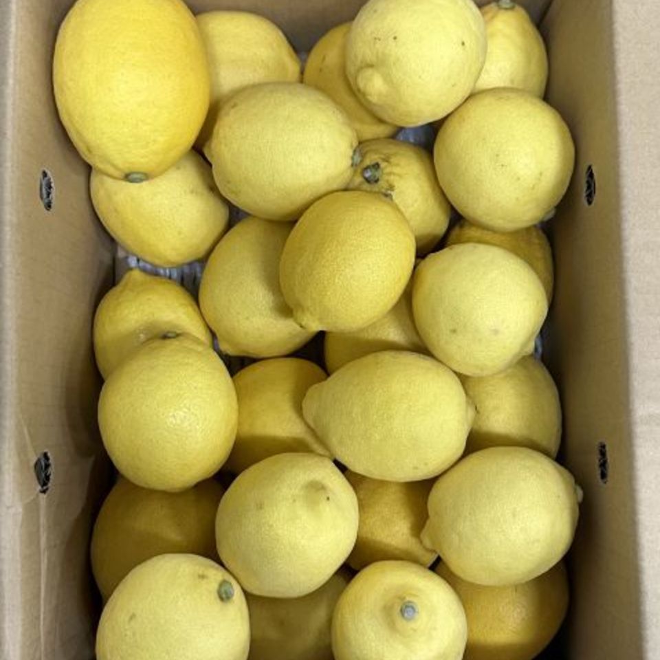 広島県産レモンの画像