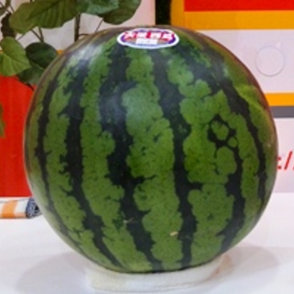 スイカの画像