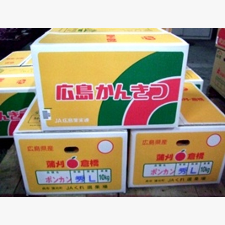 ひとことの画像