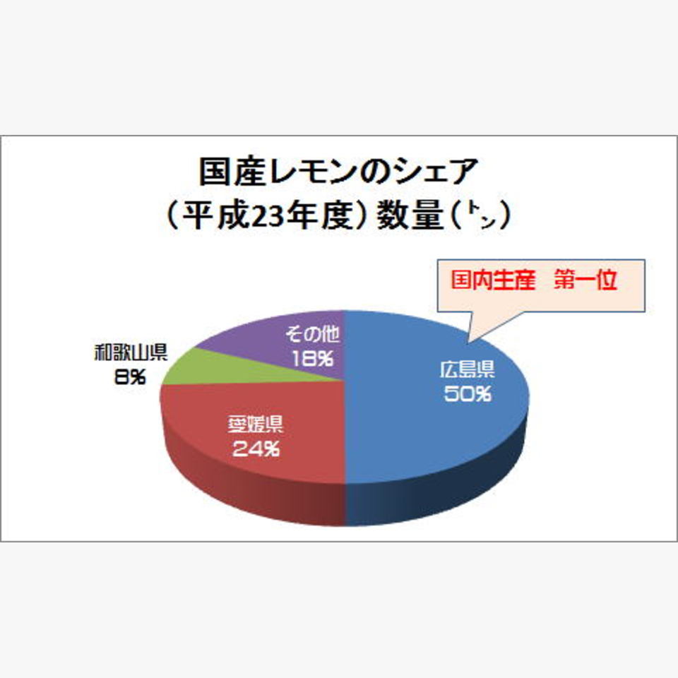 国産レモン 旬の果物 旬の野菜 果物 野菜と果物を広島の市場より食卓へ 広印広島青果株式会社