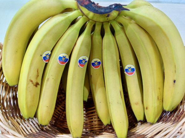 4月12日 NHK「ひるまえ直送便」でフィリピン・エクアドル産バナナを