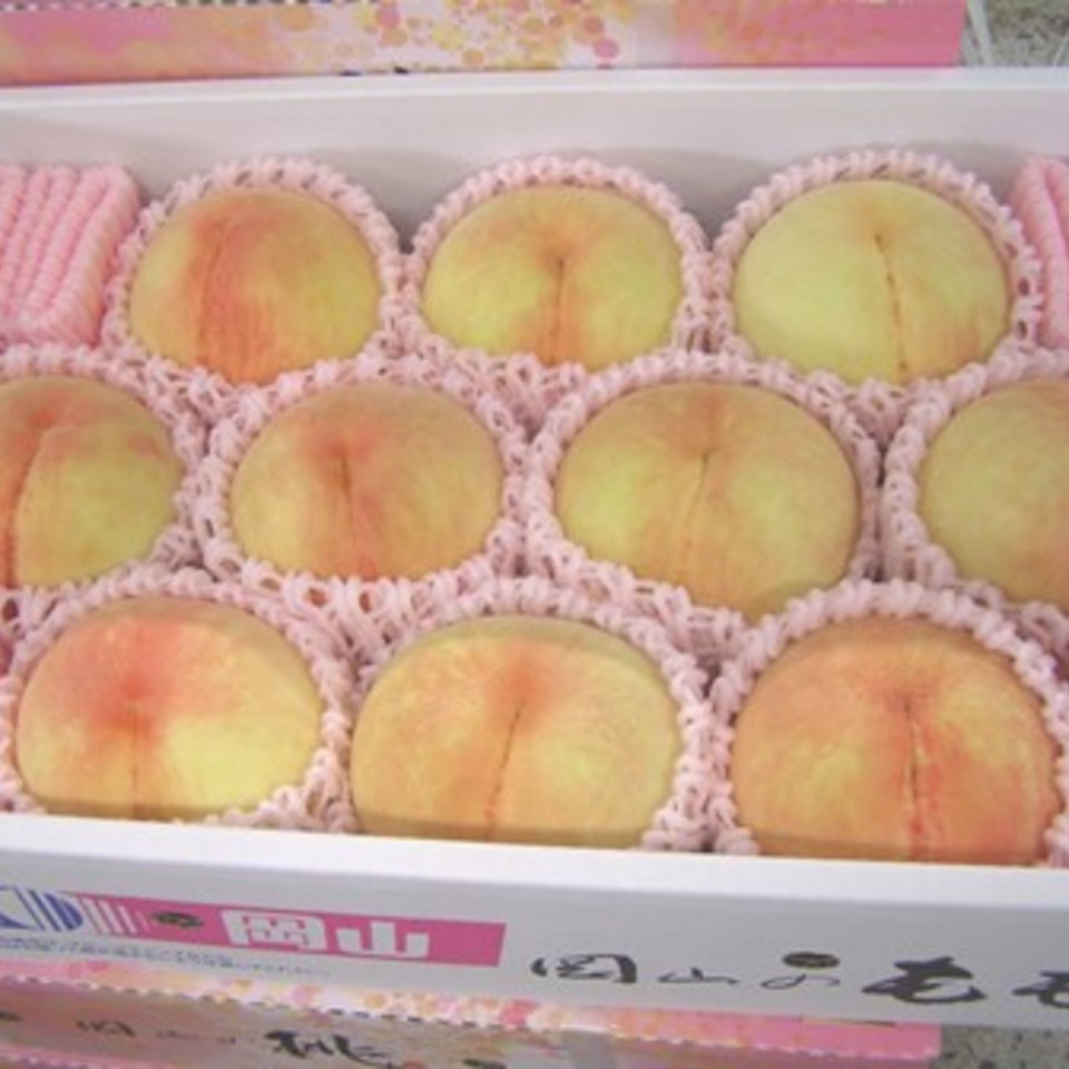 岡山の桃の画像