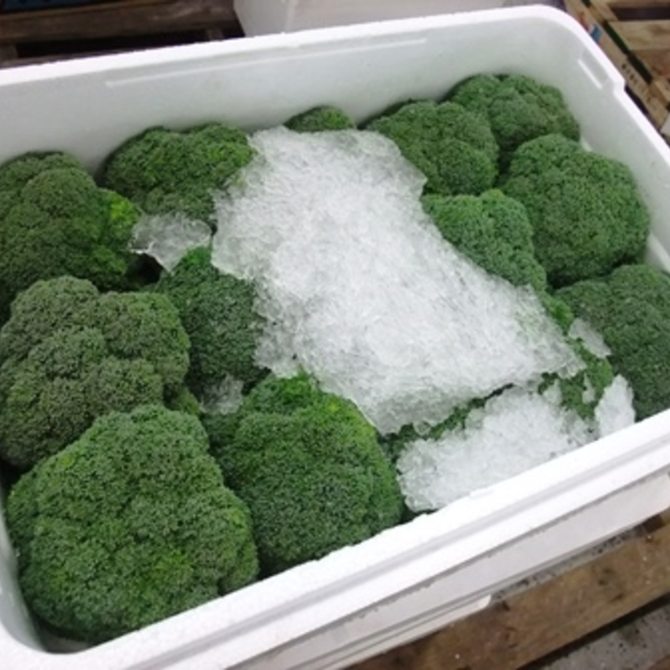 長野の野菜特集①　ブロッコリーの画像