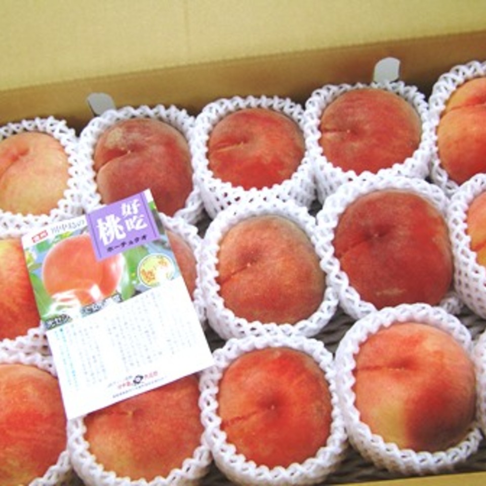 長野の桃の画像