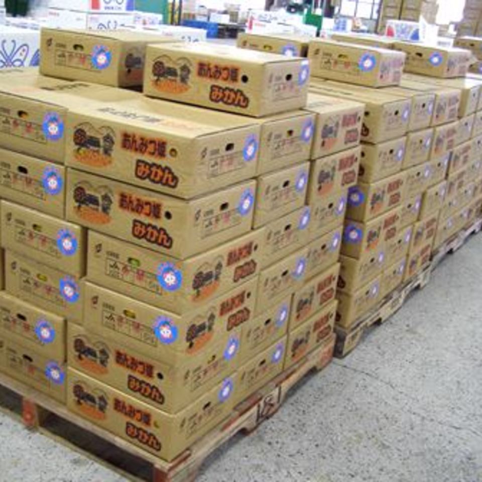 極早生みかんの画像