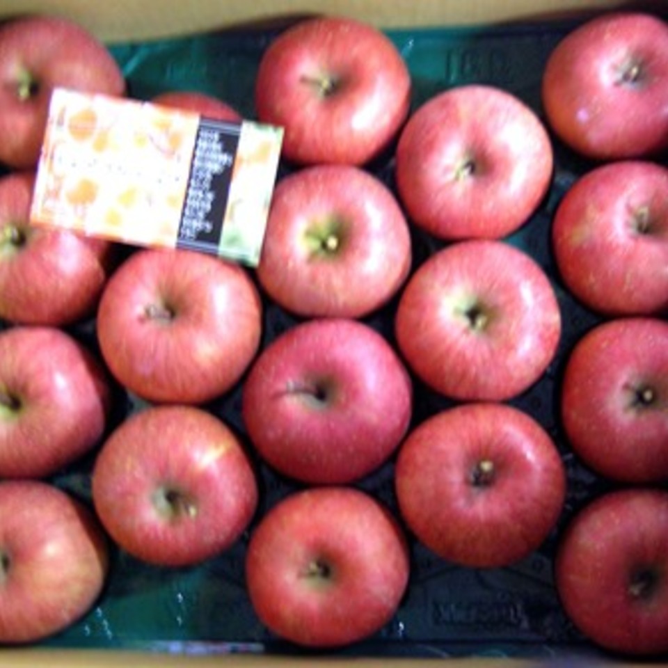 サンふじの画像