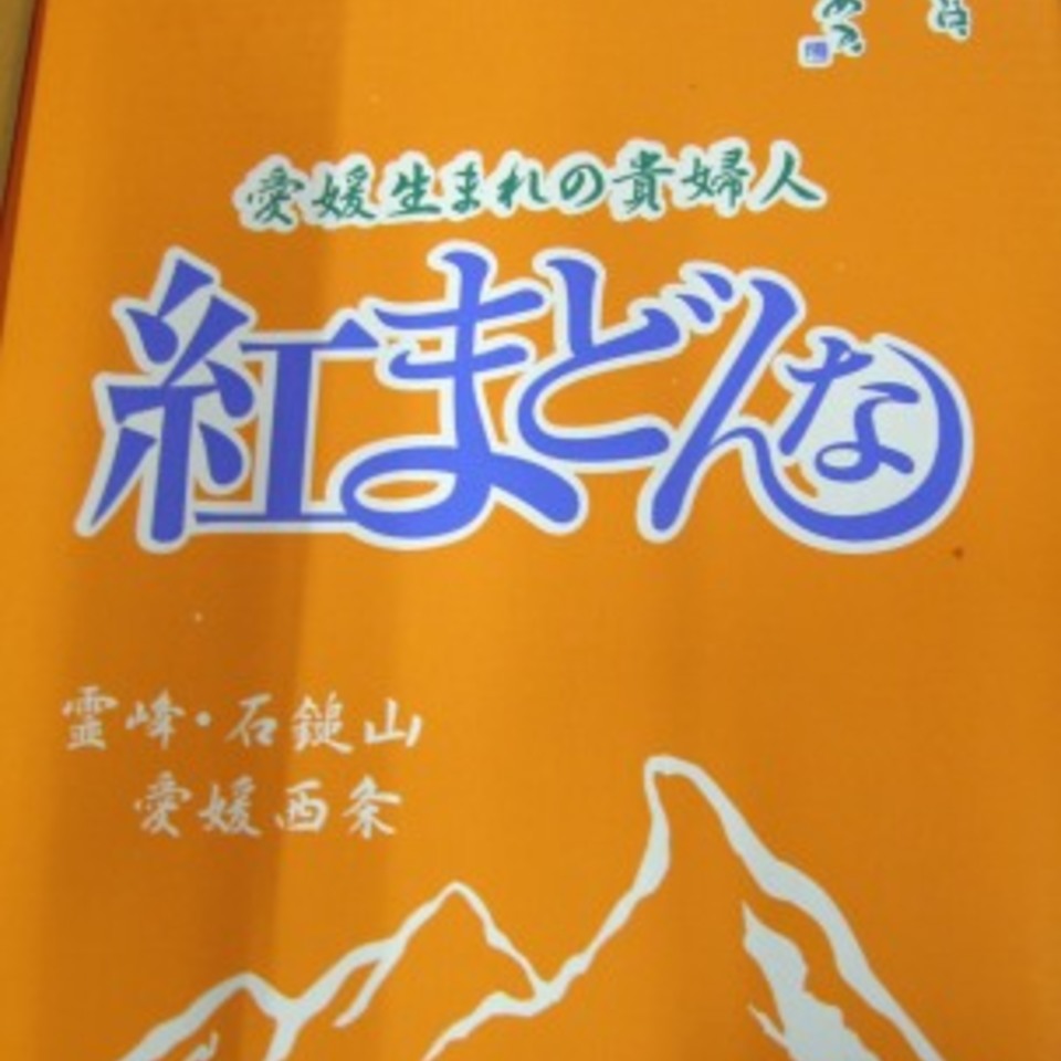 紅マドンナの画像