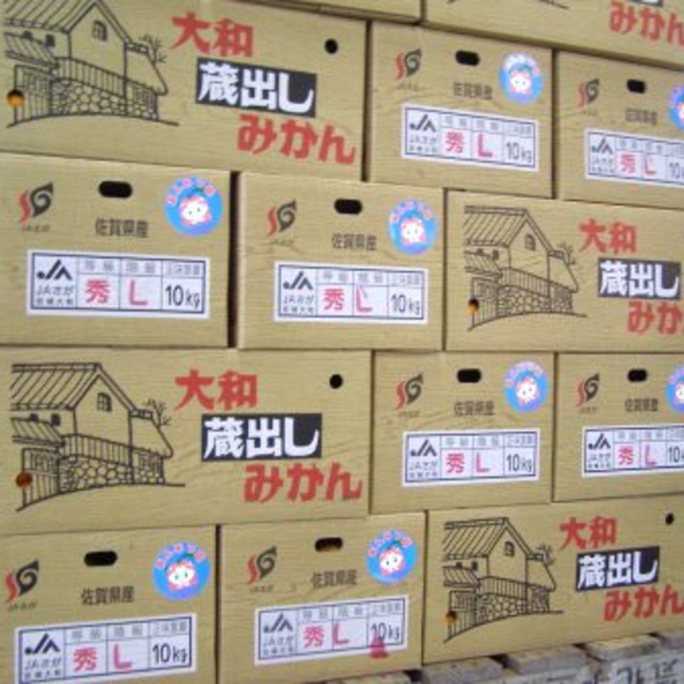 あんみつ姫（大津4号・青島）の画像