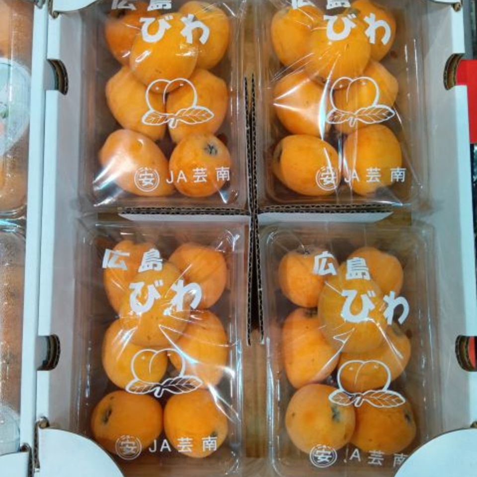 広島県産　芸南びわの画像