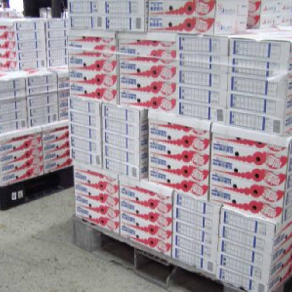 いちご特集①博多あまおうの画像