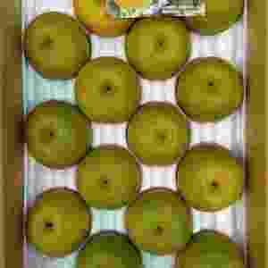 広島県産　世羅梨の画像