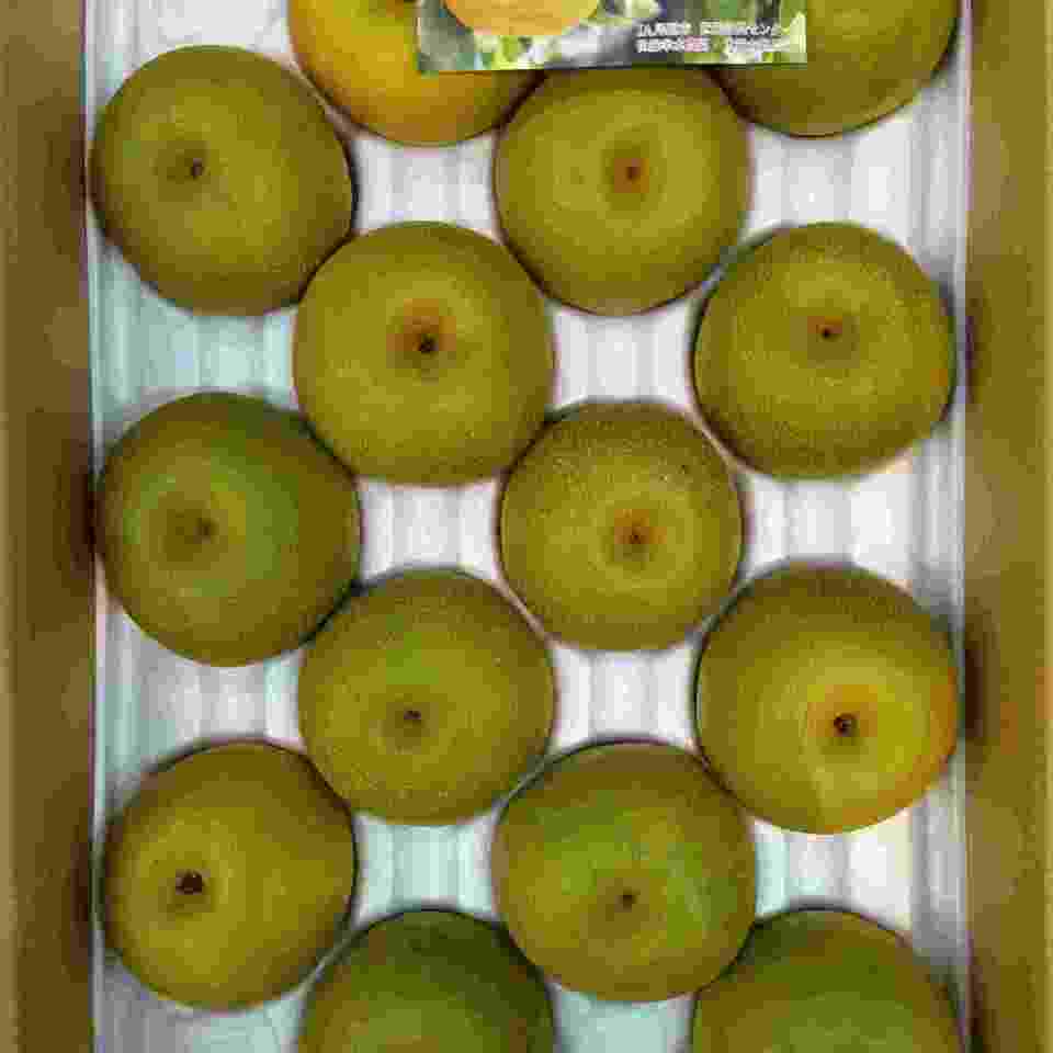 広島県産　世羅梨の画像