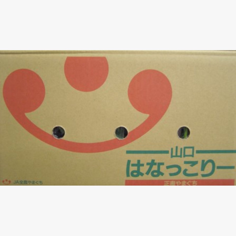 はなっこりー 旬の野菜 旬の野菜 果物 野菜と果物を広島の市場より食卓へ 広印広島青果株式会社