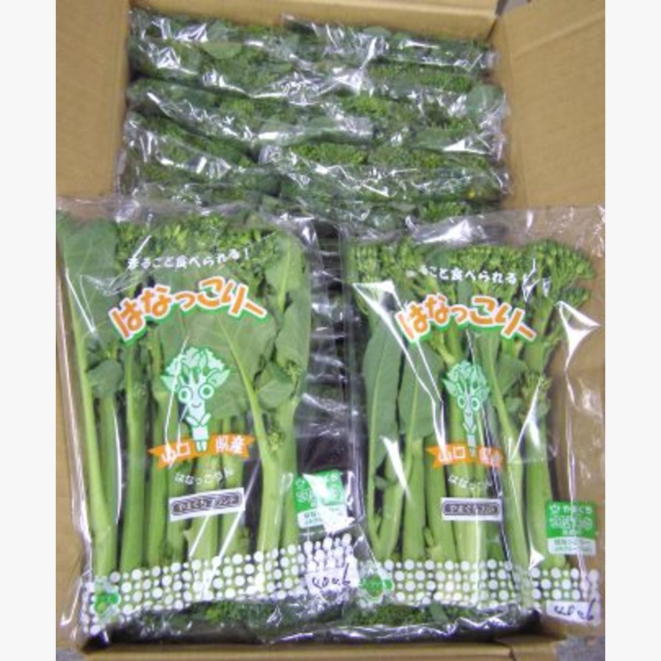 はなっこりー 旬の野菜 旬の野菜 果物 野菜と果物を広島の市場より食卓へ 広印広島青果株式会社