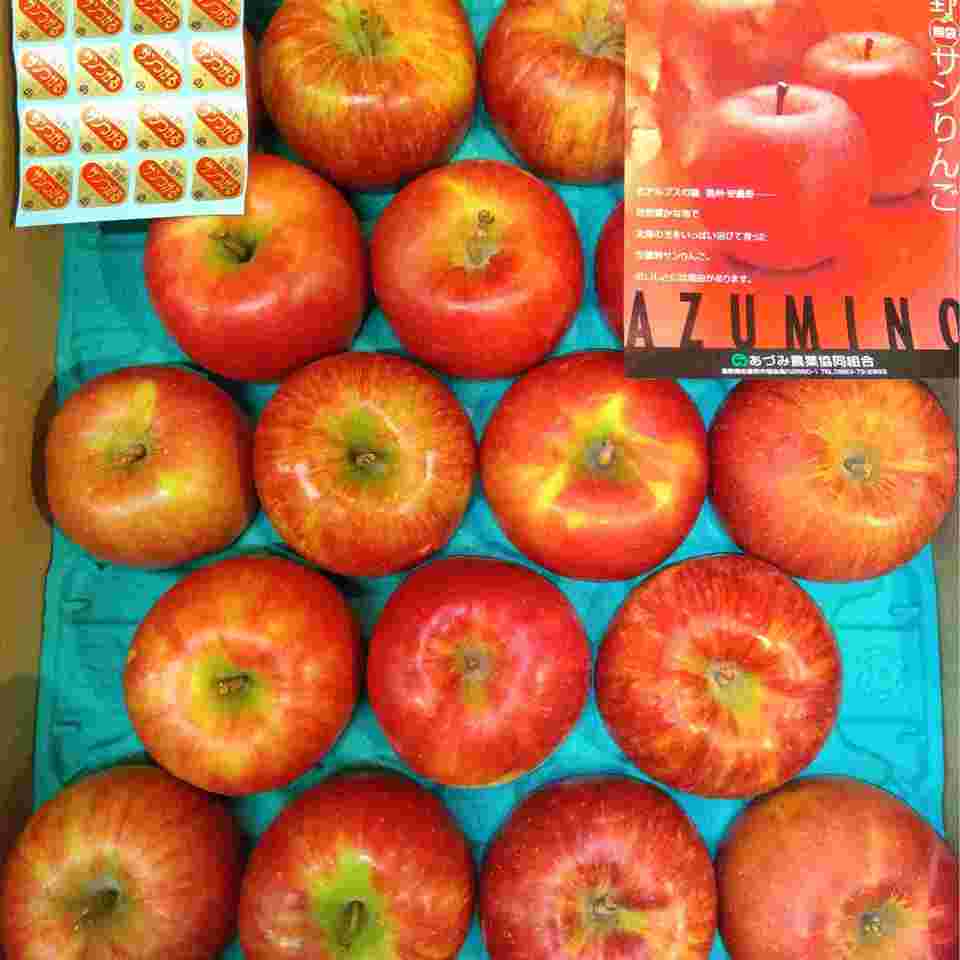 長野県・青森県産「サンつがる」の画像