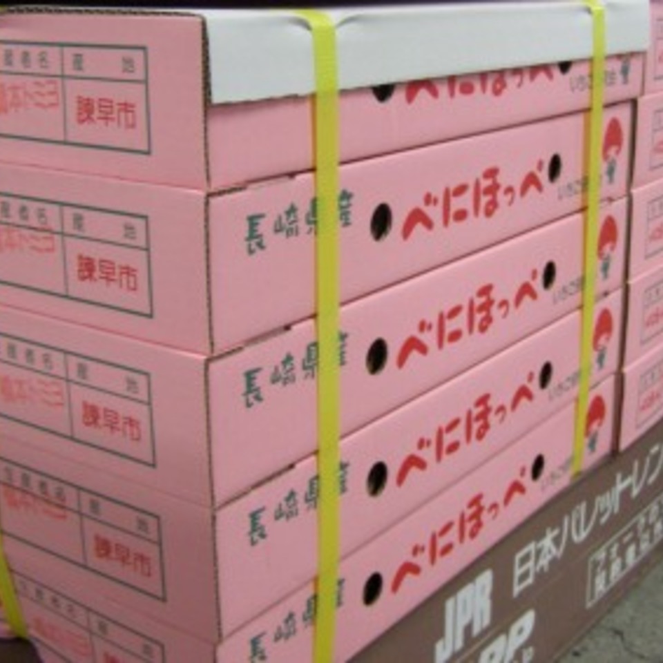 いちご特集②紅ほっぺの画像