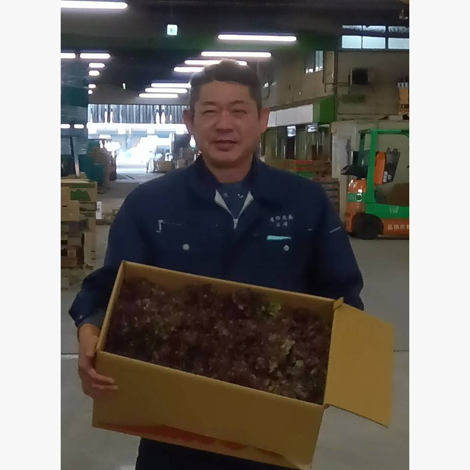 ひとことの画像