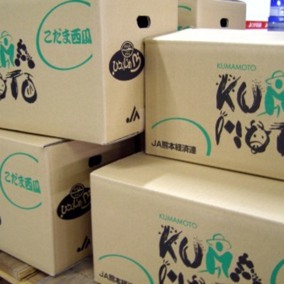 ひとりじめ西瓜の画像