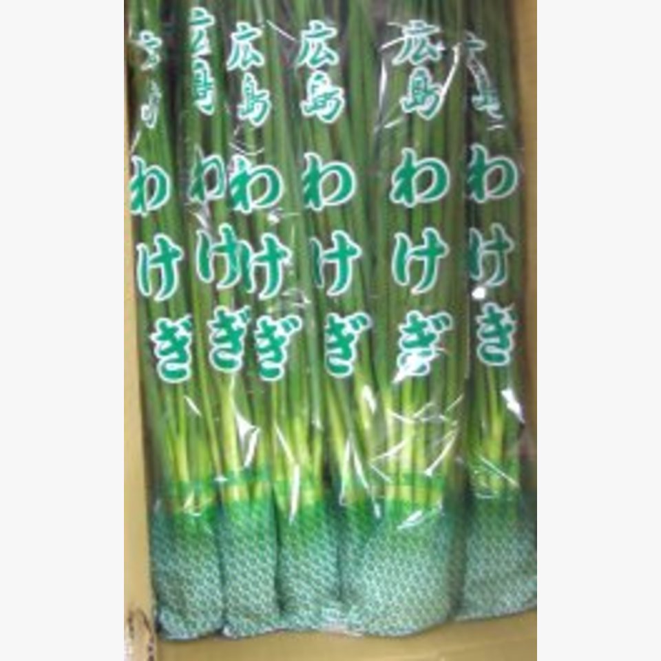 分葱 旬の野菜 旬の野菜 果物 野菜と果物を広島の市場より食卓へ 広印広島青果株式会社
