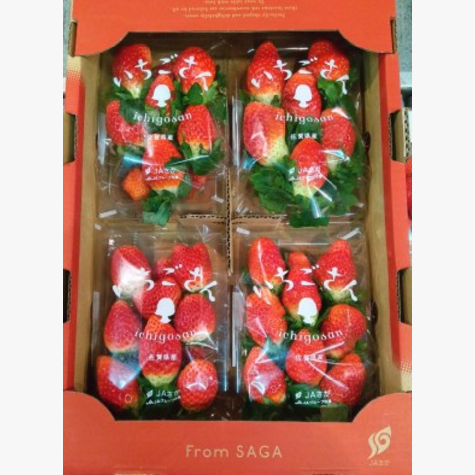 いちご画像（基本）