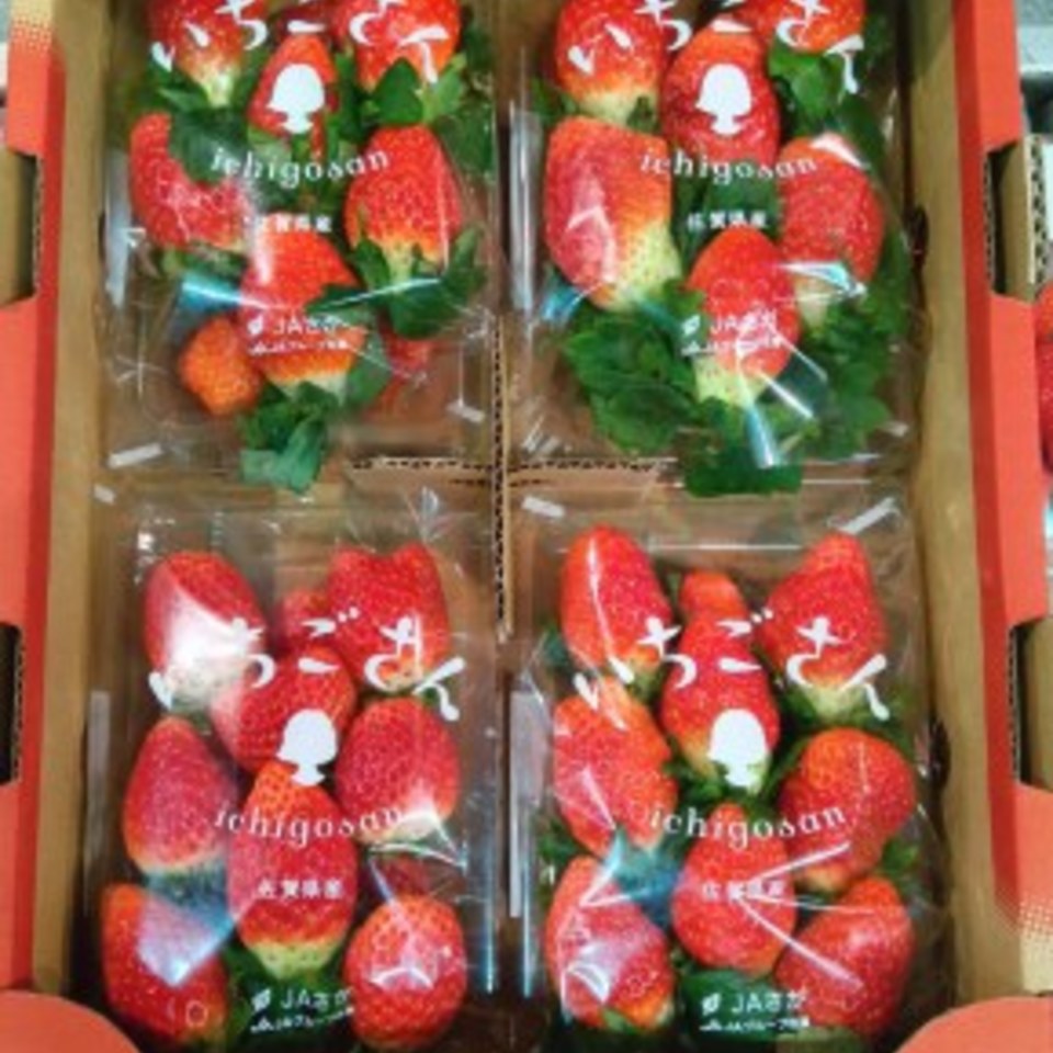 佐賀県産 いちごさんの画像