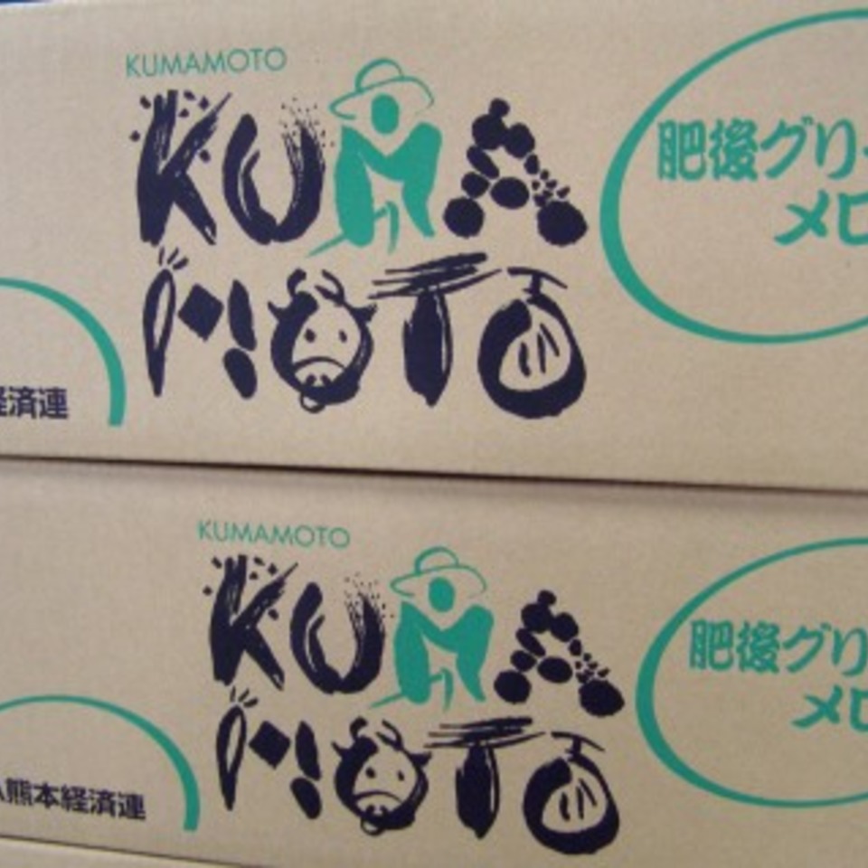 肥後グリーンメロンの画像