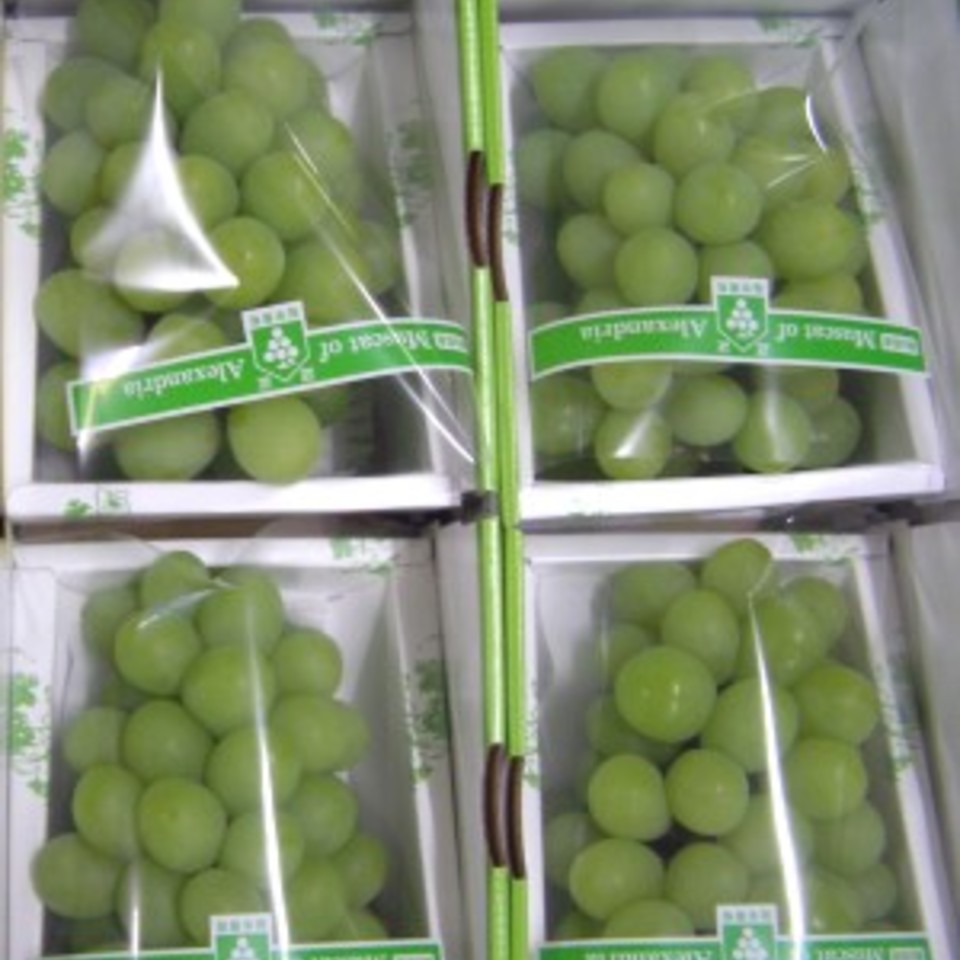 マスカット・オブ・アレキサンドリアの画像