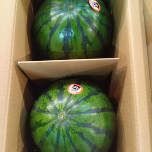 熊本県産 西瓜の画像