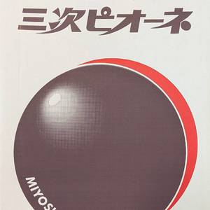 広島県産　三次ピオーネの画像