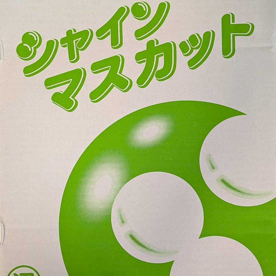 広島県産　シャインマスカットの画像