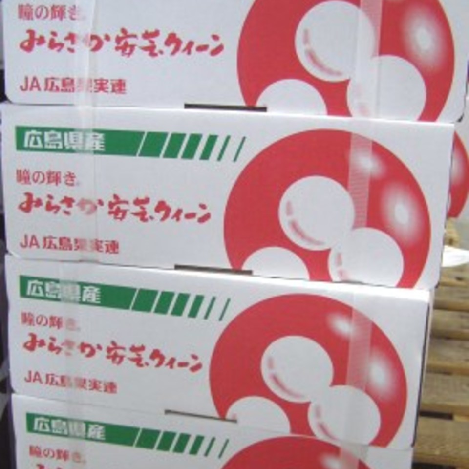 安芸クイーンの画像