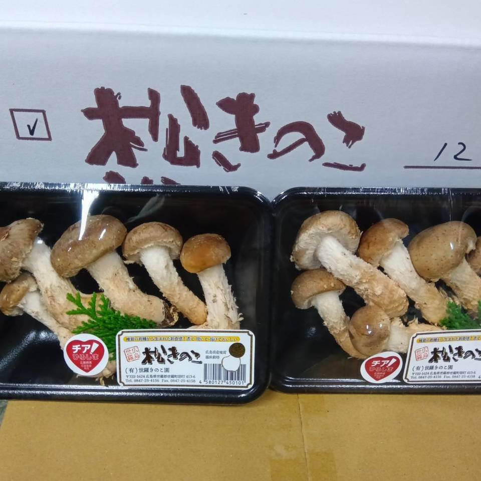 広島県産　松きのこの画像