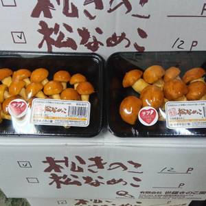 広島県産　松なめこの画像