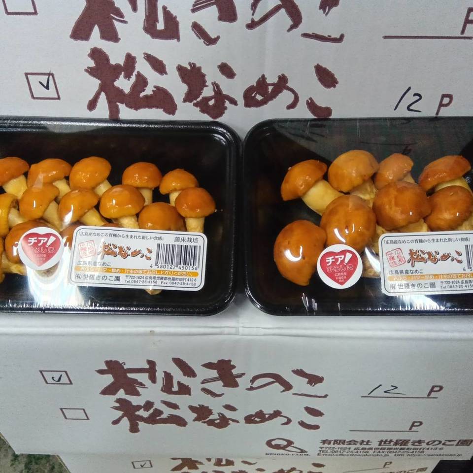 広島県産　松なめこの画像